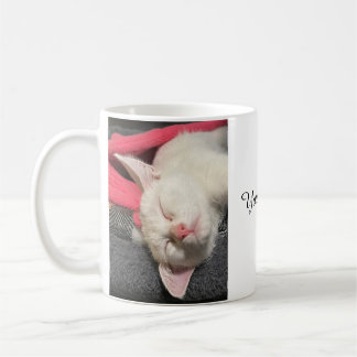 Café Caneca de Gatinhos, Caneca do Amor