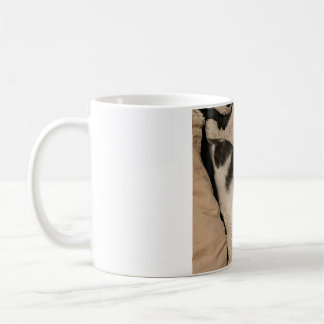 Café Caneca de gato