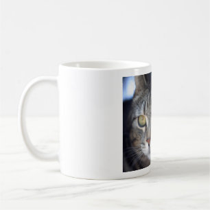Café caneca de gato