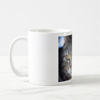 Café caneca de gato
