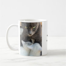 Caneca de Gato, Diversão da Maternidade, Caneca En