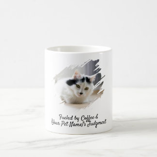 Café Caneca de Gato Engraçado com Foto de Animal de Est