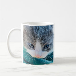 Café Caneca de Gato, Humor Matinal, Caneca Divertida