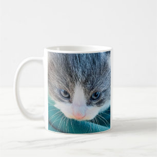 Café Caneca de Gato, Humor Matinal, Caneca Divertida