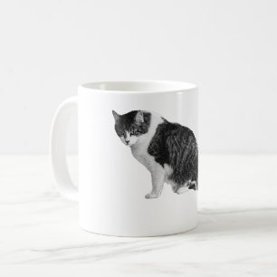 Café Caneca de Gato Sombreado Adiciona Confiança Suave