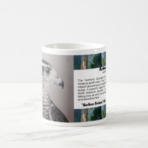 Café Caneca de Goshawk