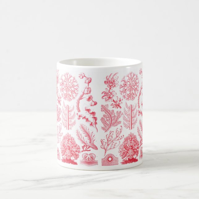 Café Caneca de Haeckel Florideae (Centro)