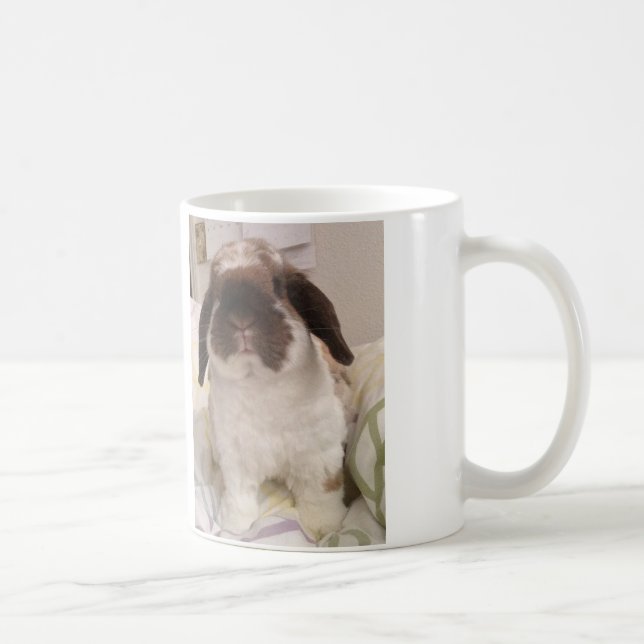 Café Caneca de Holland Lop (Direita)