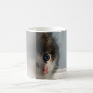 Café Caneca de Innoncene