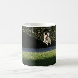 Café Caneca de Jack Russell do vôo