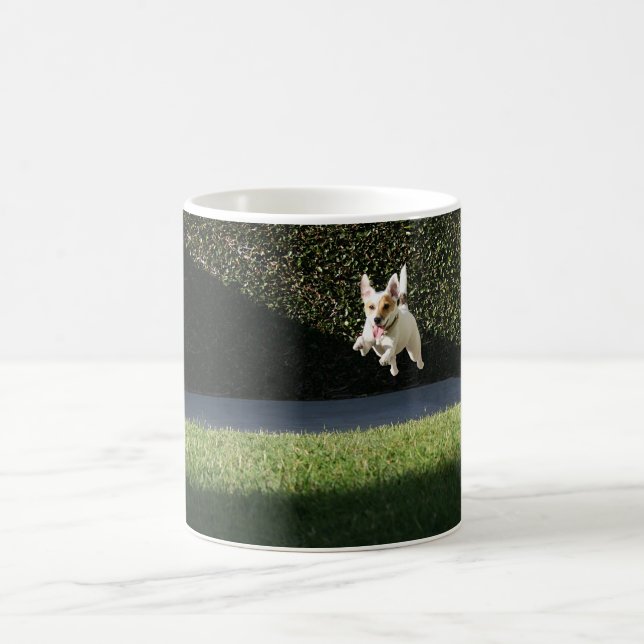 Café Caneca de Jack Russell do vôo (Centro)