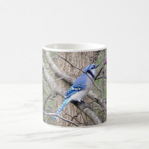 Café Caneca de Jay azul (Ohio)