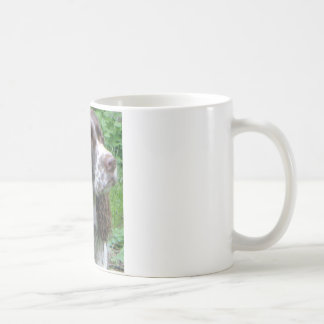 Café Caneca de "K.D."