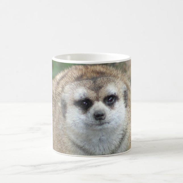 Café Caneca de Meerkat (Centro)