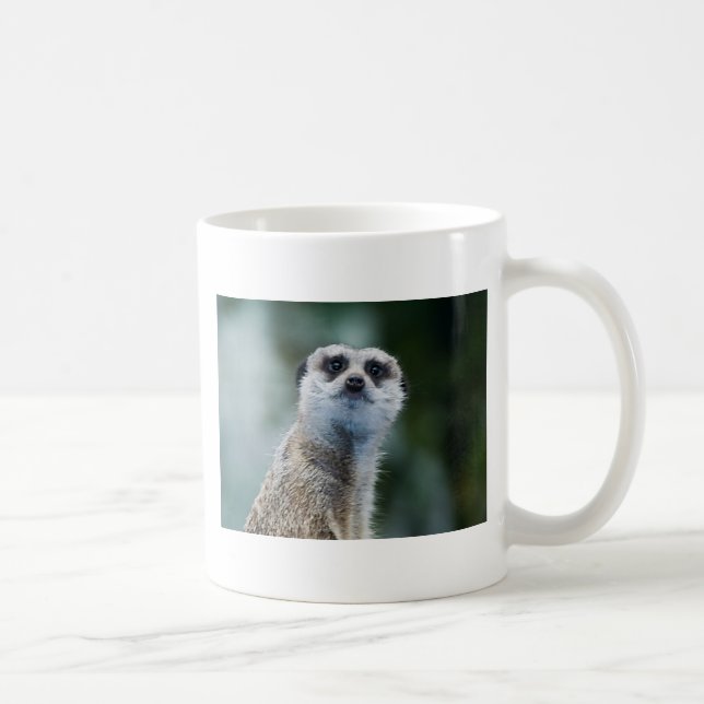 Café Caneca de Meerkat (Direita)