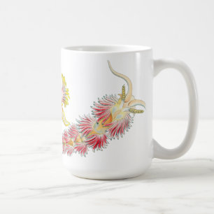Café Caneca de Nudibranch
