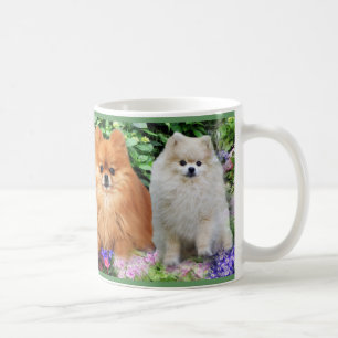 Café Caneca de Pomeranian