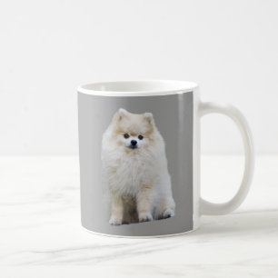 Café Caneca de Pomeranian
