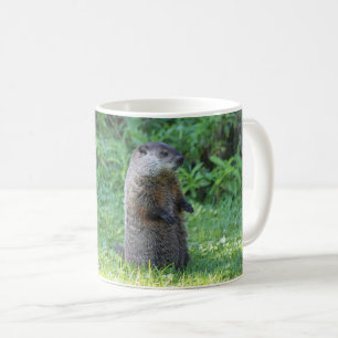 Café Caneca de porco