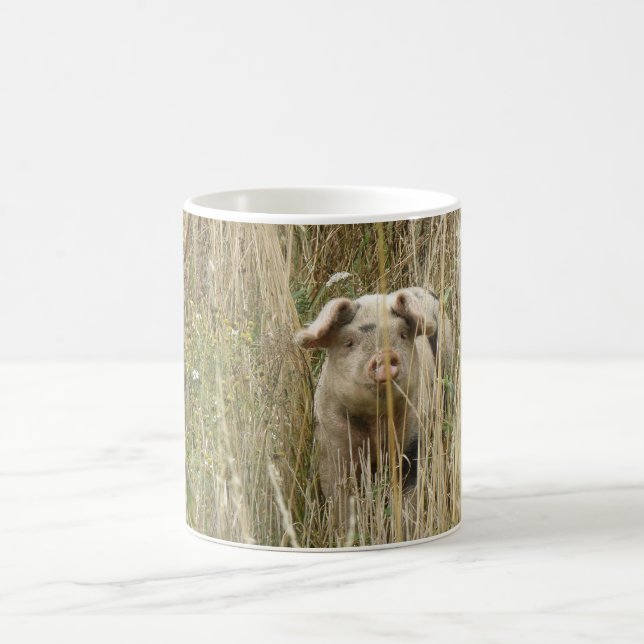 Café Caneca De Porco Bonita (Centro)