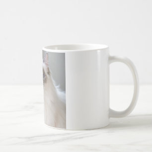 Café caneca de presente