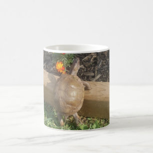 Café Caneca de Pugsly do primavera