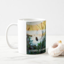Caneca de Rã