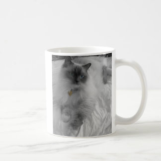 Café Caneca de Ragdoll