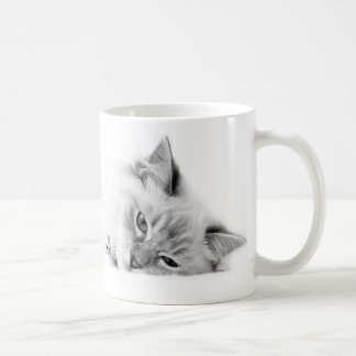 Café Caneca de Ragdoll