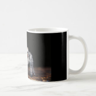 Café Caneca de salto da aranha