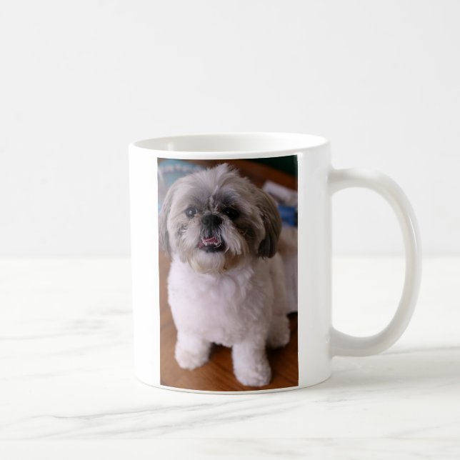 Café Caneca de Shih Tzu (Direita)