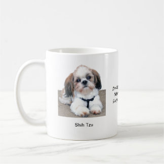 Café Caneca de Shih Tzu - com duas imagens e um motivo