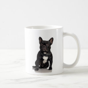 Café Caneca de Staffordshire bull terrier