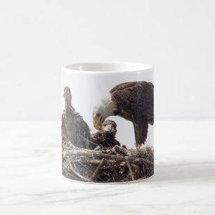 Café Caneca de SWFL EagleCam M15 E7 E8