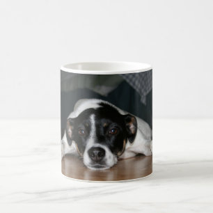 Café Caneca do cão de Terrier de rato de "Molli"