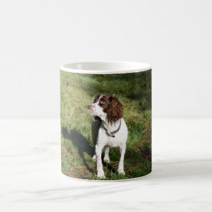 Café Caneca do cão do Spaniel de Springer