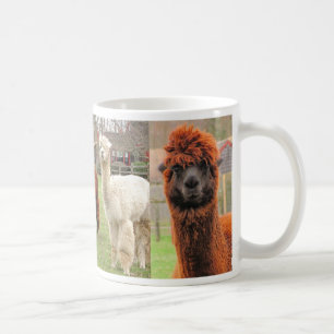 Café Caneca do ~ de três alpacas