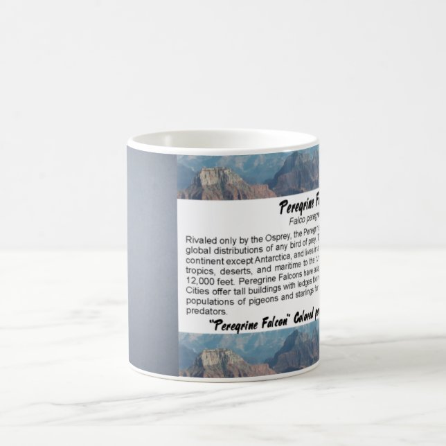 Café Caneca do falcão de peregrino (Centro)