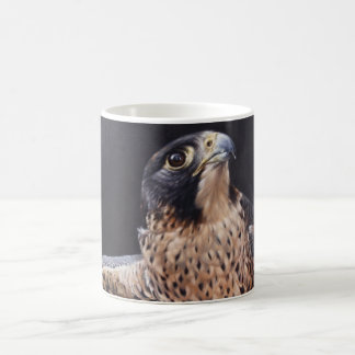 Café Caneca do falcão de peregrino