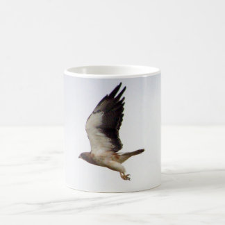 Café Caneca do falcão de Swainson