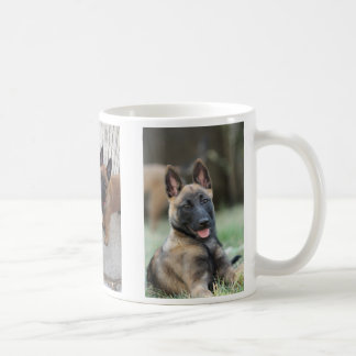 Café Caneca do filhote de cachorro de Malinois do belga