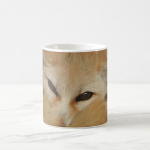 Café Caneca do Fox de Fennec