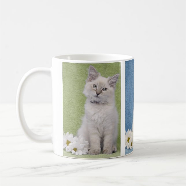 Café Caneca do gatinho de Ragdoll (Esquerda)