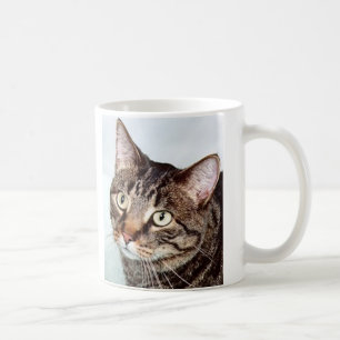 Café Caneca do gato de Briggs