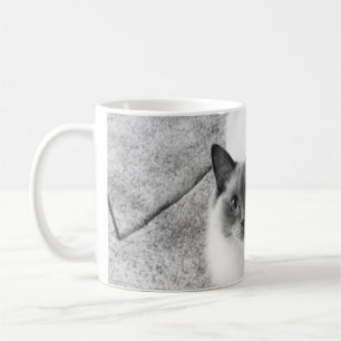 Café Caneca do gato de Ragdoll
