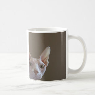 Café Caneca do gato de Sphynx