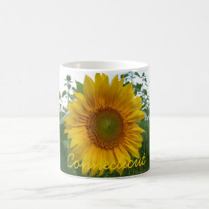Café Caneca do girassol de Connecticut