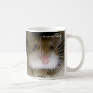 Café Caneca do hamster de Roborovski