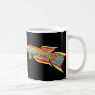 Café Caneca do Killifish de Aphyosemion