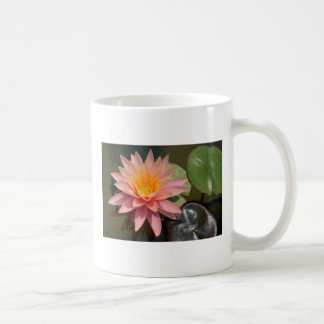 Café Caneca do lírio de água